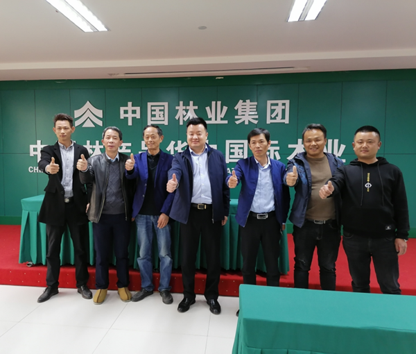 抗疫初捷，中林華中木業(yè)喜迎5家企業(yè)簽約落戶